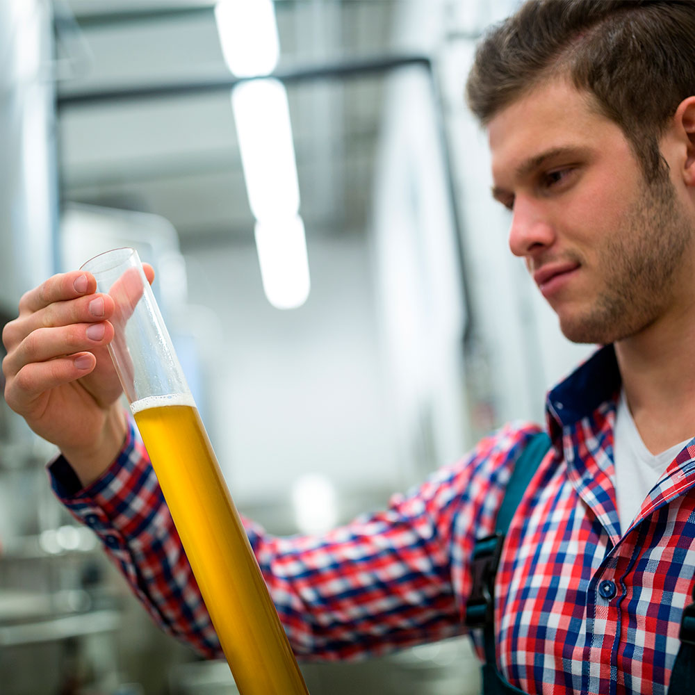 ¿Cuál es la función del densímetro en la elaboración de la cerveza?