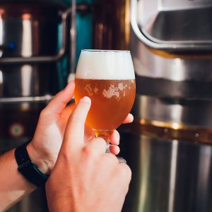 Algunos mitos sobre la cerveza ale y la cerveza lager